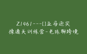 Z1461---[]亚马逊实操通关训练营-老陈聊跨境