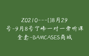 Z0210---[]8月29号-9月8号宁峰一对一旁听课全套-BAMCASES商城