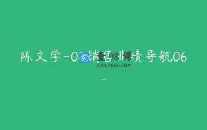 陈文学-08销售业绩导航06-