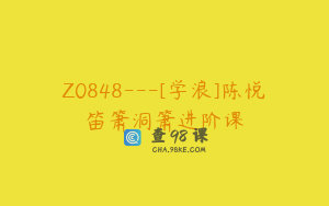 Z0848---[学浪]陈悦笛箫洞箫进阶课