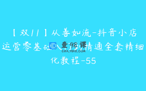 【双11】从善如流-抖音小店运营零基础入门到精通全套精细化教程-55