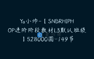Ya小帅-【SNBRHIPHOP进阶阶段教材L3默认班级】528000圆-149节