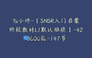 Ya小帅-【SNBR入门启蒙阶段教材L1默认班级】-428000圆-147节
