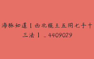 海豚知道【西北棍王五阴七手十三法】_4409029