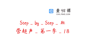 Step_by_Step_血管超声_第一季_18