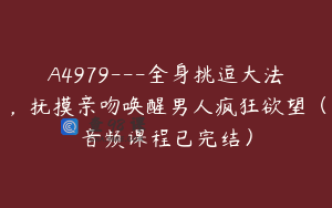 A4979---全身挑逗大法，抚摸亲吻唤醒男人疯狂欲望（音频课程已完结）