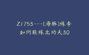 Z1753---[海豚]练拳如何能练出功夫30