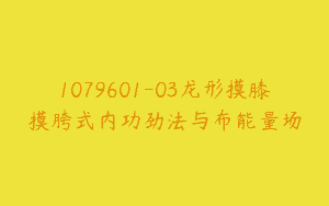 1079601-03龙形摸膝摸胯式内功劲法与布能量场