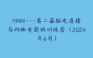 A984—第二届脑电连接与网络专题班训练营（2024年6月）