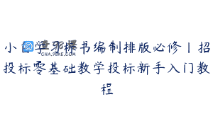 小白学习标书编制排版必修丨招投标零基础教学投标新手入门教程