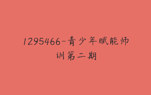 1295466-青少年赋能师训第二期