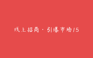 线上招商·引爆市场15