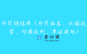 外贸销冠课（外贸拓客，社媒运营，沟通谈判，单证建站）