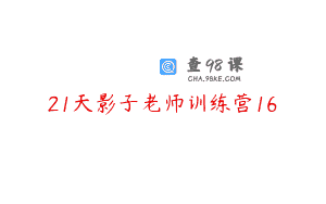 21天影子老师训练营16