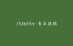 1536554-专业技能