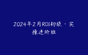 2024年2月RDI初级·实操进阶班