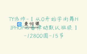 TY伟帅-【从0开始学街舞HIPHOP必备律动默认班级】-12800圆-15节