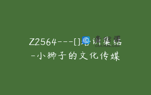 Z2564---[]培训集结-小狮子的文化传媒