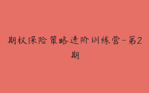 期权保险策略进阶训练营-第2期