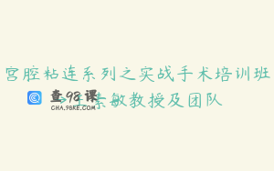 宫腔粘连系列之实战手术培训班→王素敏教授及团队