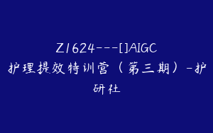 Z1624---[]AIGC护理提效特训营（第三期）-护研社