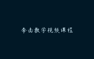 拳击教学视频课程