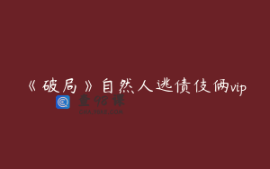 《破局》自然人逃债伎俩vip