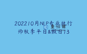 202210月NLP专业执行师秋季平日&假日13