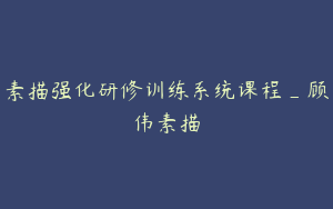 素描强化研修训练系统课程_顾伟素描