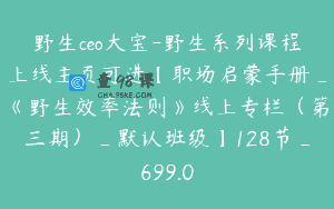 野生ceo大宝-野生系列课程上线主页可进【职场启蒙手册_《野生效率法则》线上专栏（第三期）_默认班级】128节_699.0
