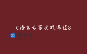 C语言专家实践课程8