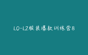L0-L2服装爆款训练营8