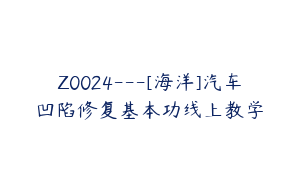 Z0024---[海洋]汽车凹陷修复基本功线上教学