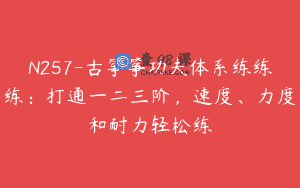 N257-古筝筝功夫体系练练练：打通一二三阶，速度、力度和耐力轻松练