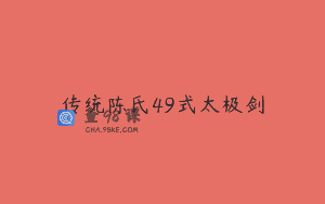 传统陈氏49式太极剑