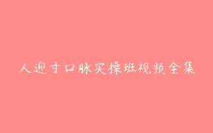 人迎寸口脉实操班视频全集