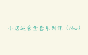 小店运营全套系列课（New）