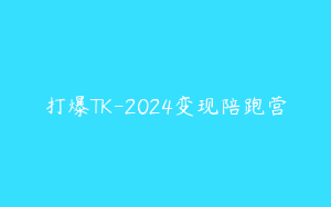 打爆TK-2024变现陪跑营