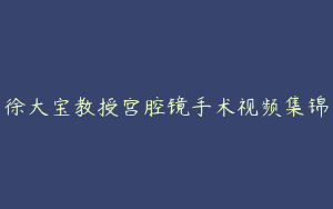 徐大宝教授宫腔镜手术视频集锦
