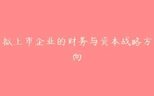 拟上市企业的财务与资本战略方向