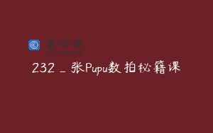 232_张Pupu数拍秘籍课