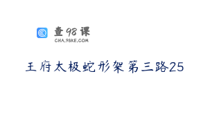 王府太极蛇形架第三路25