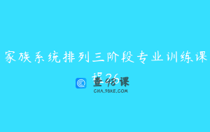家族系统排列三阶段专业训练课程26