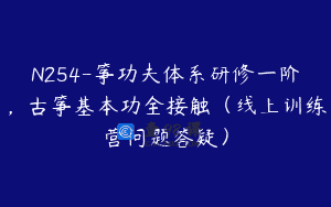 N254-筝功夫体系研修一阶，古筝基本功全接触（线上训练营问题答疑）