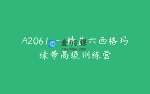 A2061—精益六西格玛绿带高级训练营