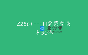 Z2861---[]觉察型关系30课