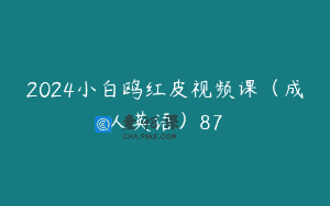 2024小白鸥红皮视频课（成人英语）87
