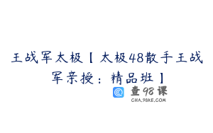 王战军太极【太极48散手王战军亲授：精品班】
