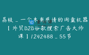 荔枝_一个木有感情的询盘机器【外贸B2B谷歌搜索广告大师课】1242488_55节