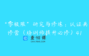 “零极限”研究与修炼：认证共修营（培训师提升必修）41